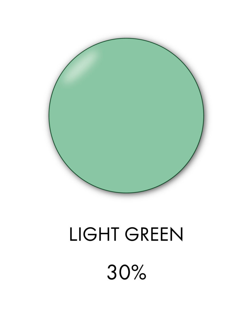 Light Green Lens 30 / COMP354 thesessions