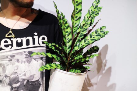 CD6120C6-ACD5-4E30-9C7B-458EBA7C3AD9