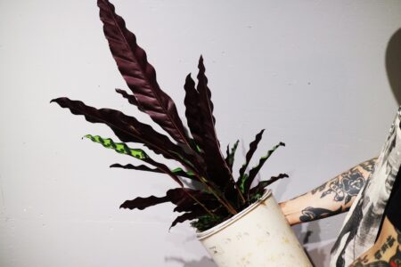 FED5D907-2953-4680-A79A-401D777CFE21