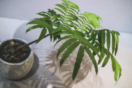 写真 2021-06-04 20 19 09