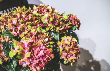 写真 2021-06-04 20 25 49