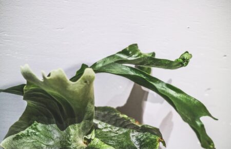 写真 2021-06-04 20 29 31