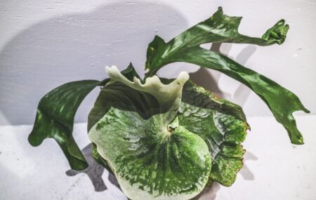 写真 2021-06-04 20 29 45